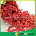 Qingdao alimentos secos goji Berry para 2016 venta caliente